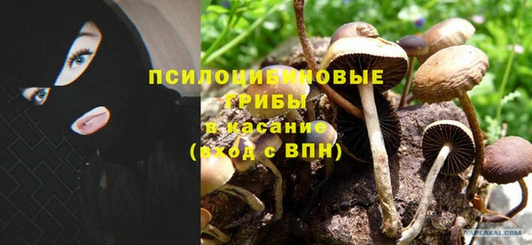 гидра Балахна
