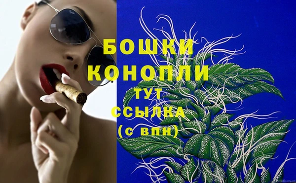 гидра Балахна