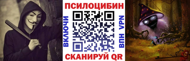 Псилоцибиновые грибы Cubensis Никольск