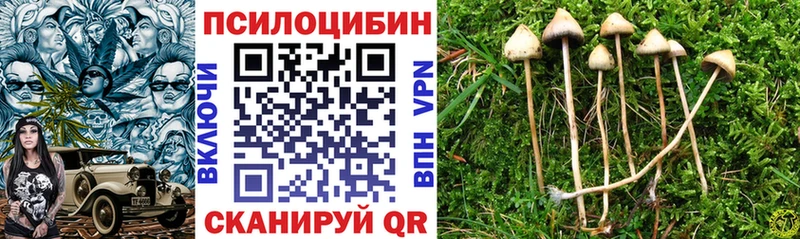 Псилоцибиновые грибы MAGIC MUSHROOMS где найти наркотики Никольск